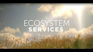 Ecosystem services