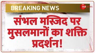 Sambhal Jama Masjid Dispute Update: संभल मस्जिद पर बढ़ा तनाव | Msulims | Heavy Security