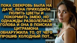 Убираясь в квартире свекрови, полезла в шкафчик и обомлела от находки...