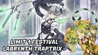 Traptrix Labyrinth Limit 1 Festival || Yu-Gi-Oh Master Duel