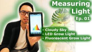 Measuring Light | Ep 01: Cloudy Day, LED vs Fluorescent Grow Lights, Spectral Analysis