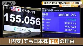 円安進行し株も大幅下落　トランプ氏に指摘される懸念材料　欧州株が低迷【知っておきたい！】【グッド！モーニング】(2024年11月14日)