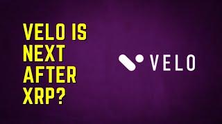 Velo Is The Next BIG THING?! - Asia's Version of XRP (Ripple) | Crypto Addict