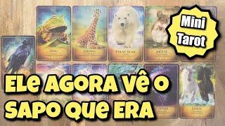 Ele Agora Vê o Sapo Que Era  Mini Tarot Oráculos