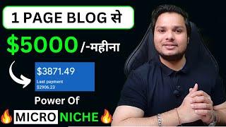 1 Page Micro Niche Blog = $5000 Per Month  #blogging