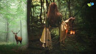 Enchanted Celtic Music | 432Hz Nature Music | Magical Forest Sounds