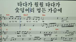숯덩이 /하루 /김나경 TV /엘프 반주기