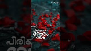 Oru kuri kandu naam piriyunna neram, vellam movie song ️ Malayalam Lyrical Status