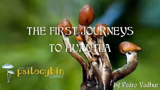 First Journeys to Huautla - A healing music trip