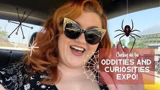 Oddities and Curiosities Expo Walkthrough and Haul!