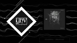 Echosoul - Dream Big (Official YHV Records Video)