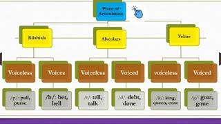 English Plosive Sounds | Manner & Place of Articulation | An Introduction to Phonetics & Phonology