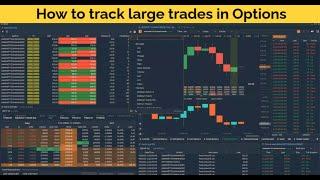 How to track large option trades