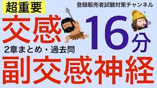 【2章交感神経・副交感神経】薬剤師が解説する登録販売者試験