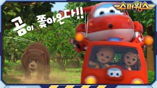 [슈퍼윙스5 HL] 왕실 캠핑 소동 외 | 출동! 슈퍼윙스 슈퍼펫 | Superwings | Super Wings | 하이라이트 시즌5 제34~36화