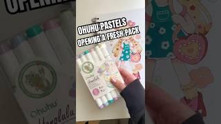 New Ohuhu pastel Marker pack!