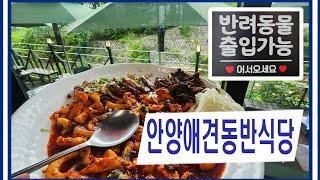 안양 삼막사 맛집 안양애견동반식당 명태어장 쭈갑골