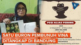 Satu DPO Kasus Pembunuhan Vina Cirebon Ditangkap!