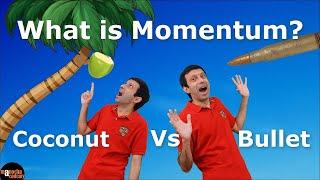 What is Momentum ?