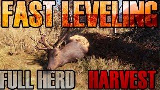 The Hunter: Call of the wild - Harvesting a Full Herd