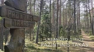 Labanoro girios pažintinis takas/Hiking route: LABANORO FOREST TOUR