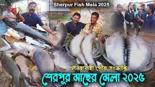 Bangladesh Fish Mela the Largest in Moulvibazar Sherpur 2025 | শেরপুর মাছের মেলা