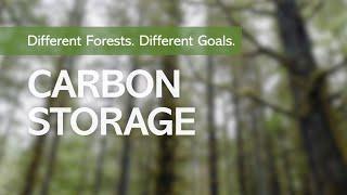 Different Forests. Different Goals. Carbon Storage