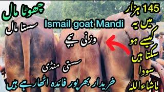 Ismail goat Mandi Karachi Cattle Rates Update ️ || 29 may 2025  || Cow Mandi 2025