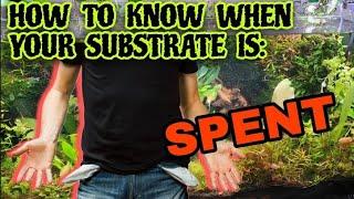 How Do You Know When Your Substrate is Depleated? The Life Cycle of Substrate: Anoxic & Aerobic.