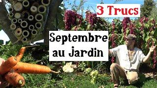 3 Trucs à faire en Septembre au Jardin