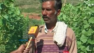 severely harmful pesticides used in vegetable from Karnataka to Kerala