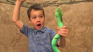 Magic Growing Snake | Store for Knowledge| Kids Fun Activity Toy