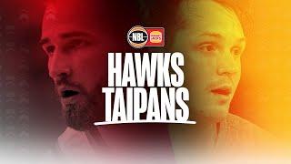 NBL25 Round 15 - Illawarra Hawks vs Cairns Taipans