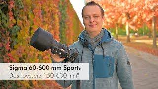 Sigma 60-600 mm DG OS HSM Sport | Das "bessere 150-600 mm" im Test [Deutsch]