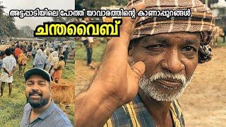 ‘ചന്തവൈബ്’ - അട്ടപ്പാടിയിലെ പോത്ത് യാവാരം! Kottathara Cattle Market - Attappadi