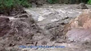 Historic Flash Flood in Zion National Park ~PEOPLE TRAPPED~ (The Narrows)