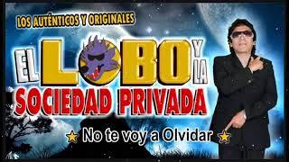 PRIMICIAS 2022 - EL LOBO Y LA SOCIEDAD PRIVADA