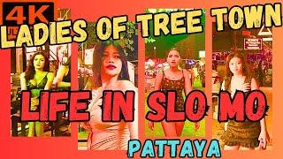 LADIES OF TREE TOWN. LIFE IN SLO MO, PATTAYA.