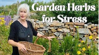 Garden Herbs for Stress