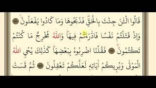 48.  Surah Baqarah study slowly read/ Bəqərə suresi /72- 73 ayeler