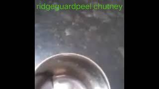 ritgeguard peel  chutney#turayi chilka chutney#