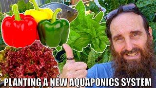 How To Plant For Success in Your First Aquaponics System 