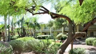 Catalina Vista Apartments in Tucson, AZ - ForRent.com