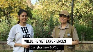 In conversation with a Wildlife Veterinarian | Vet Visit
