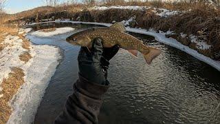 Wisconsin Trout Fishing - 1/25/2025