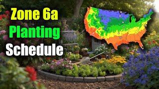 Zone 6a Planting Schedule: Zone 6a Planting Made Easy