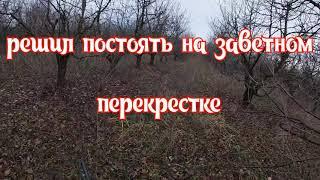 Охота в садах Кубани,фильм седьмой. Дежавю или история повторяется)))))