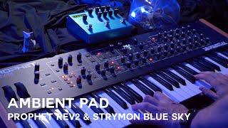 Prophet Rev 2 & Strymon Big Sky Ambient Pads