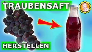 Selbstgemachten Traubensaft herstellen nach der Weinlese im eigenen Garten