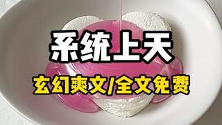 书名《系统上天》